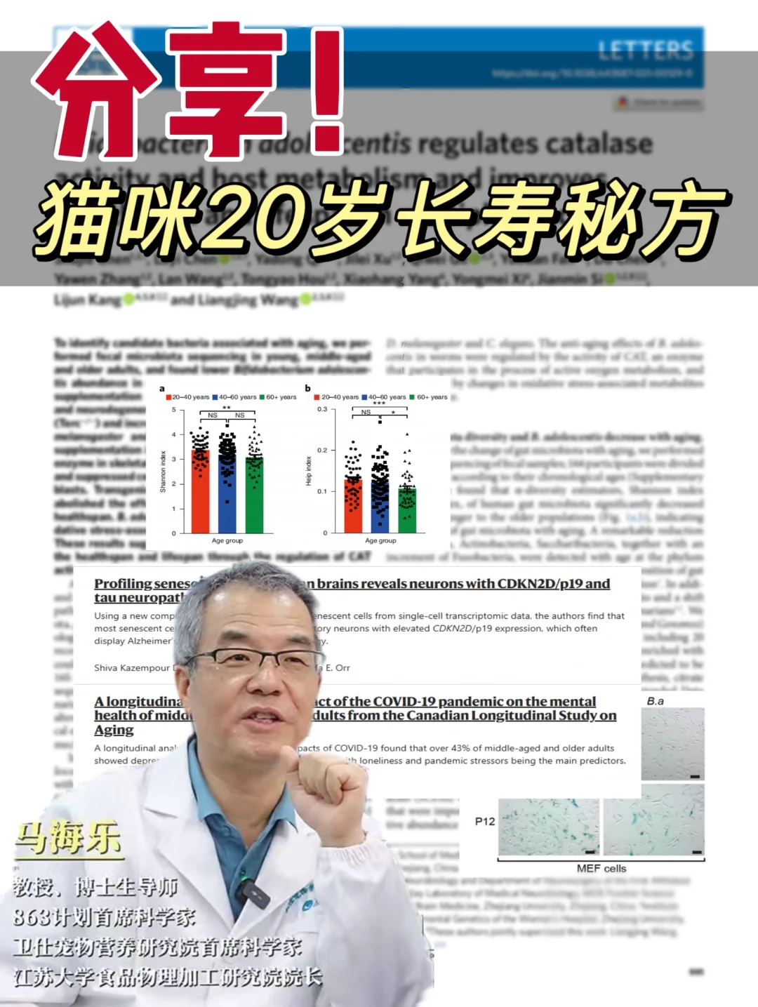 分享!猫咪20岁的秘诀是…