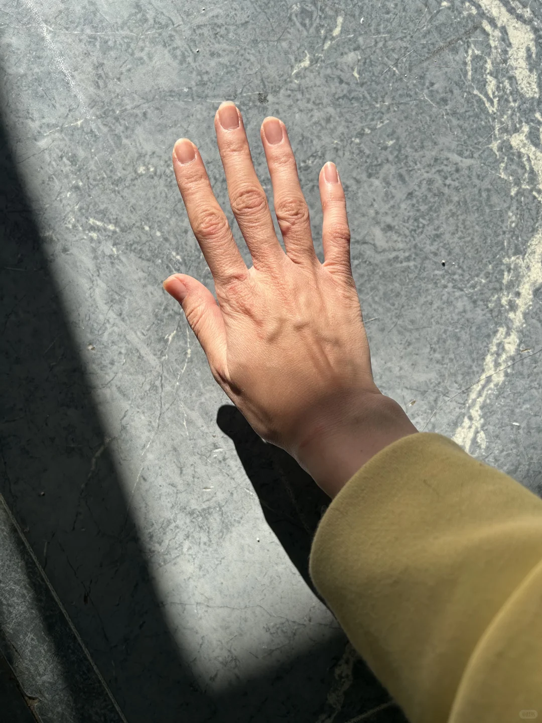 到这个月份干宠物美容行业的手都是这样吧