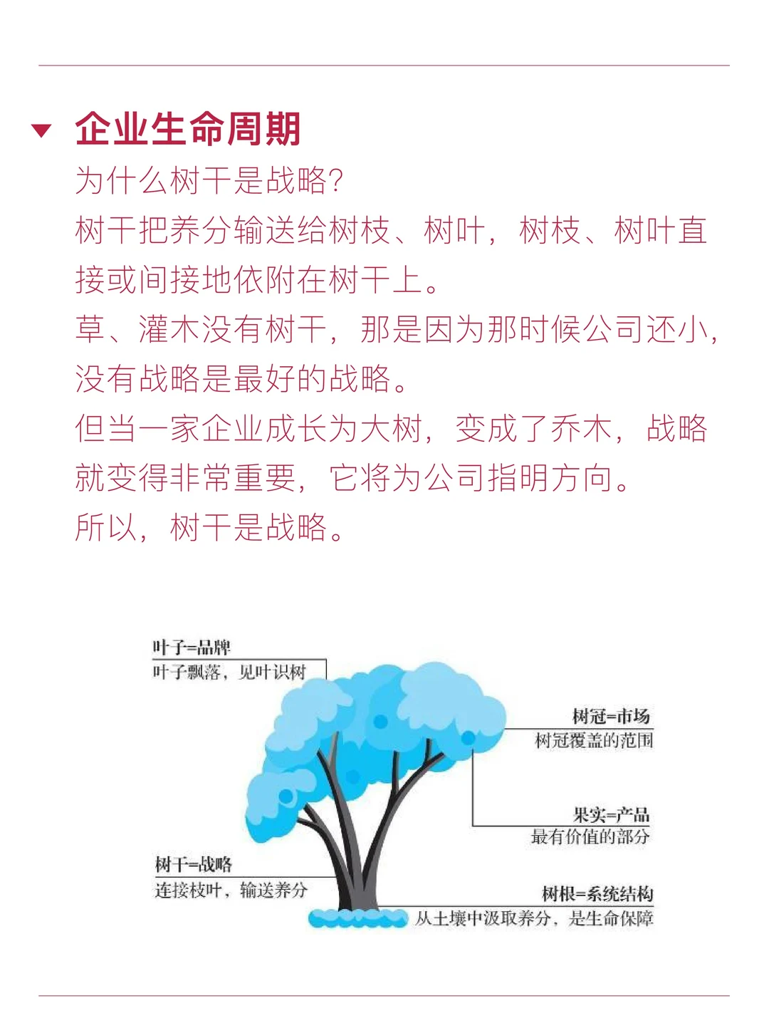 所谓洞察本质，就是会打比方