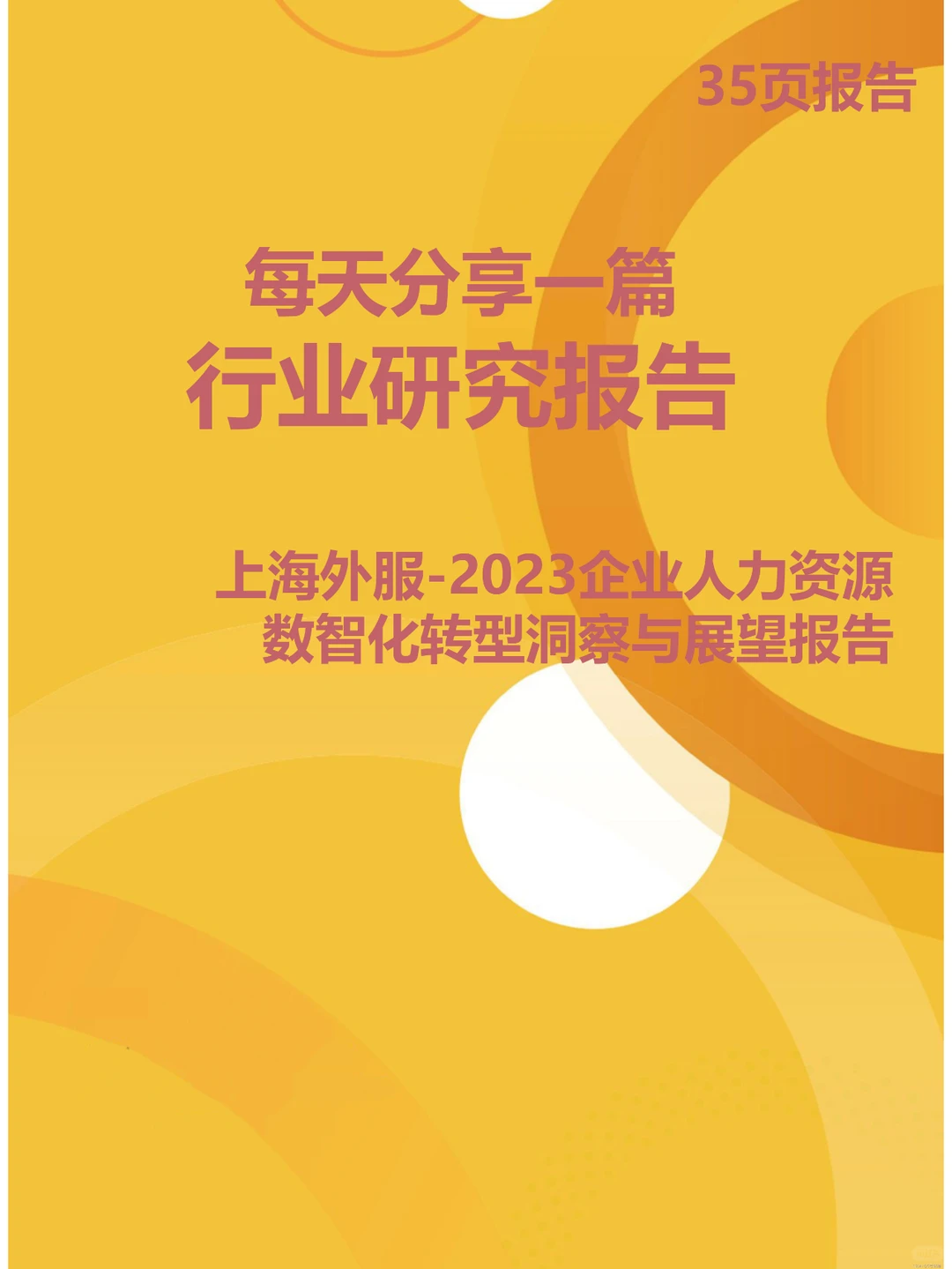2023企业人力资源数智化转型洞察与展望报告
