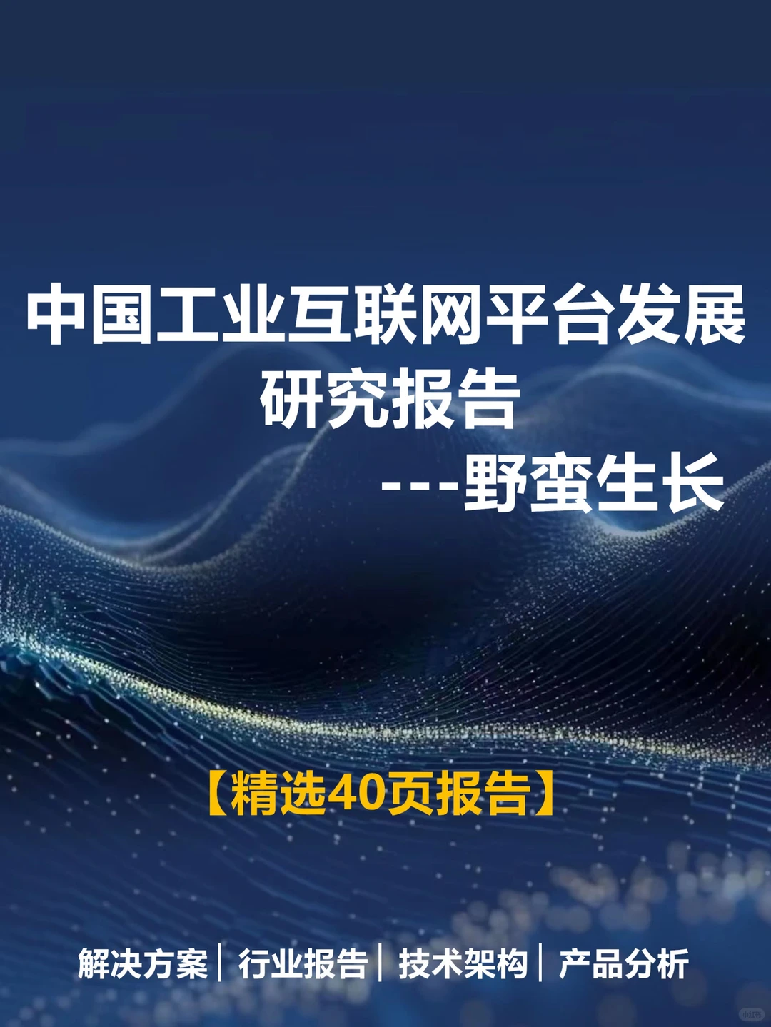 2023最新报告✔中国工业互联网平台发展报告