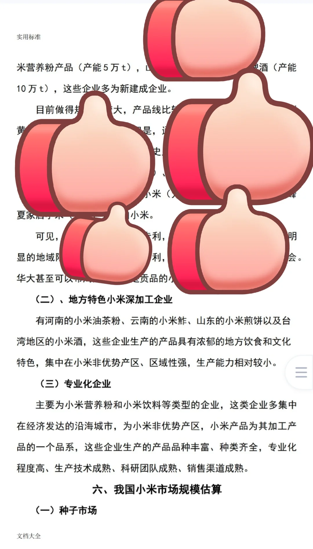 ?小米行业调研报告附详细的图表分析
