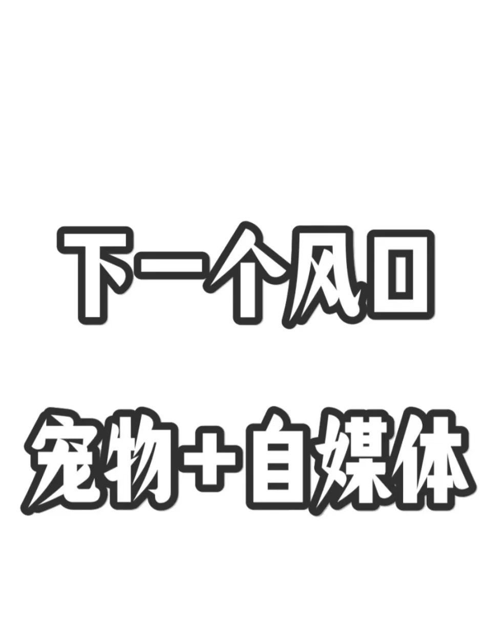 下一个风口宠物➕自媒体