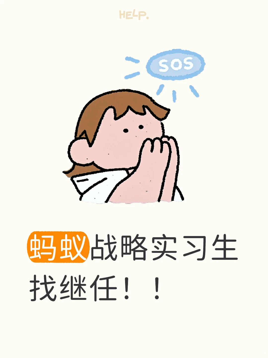 蚂蚁战略实习生找继任!!