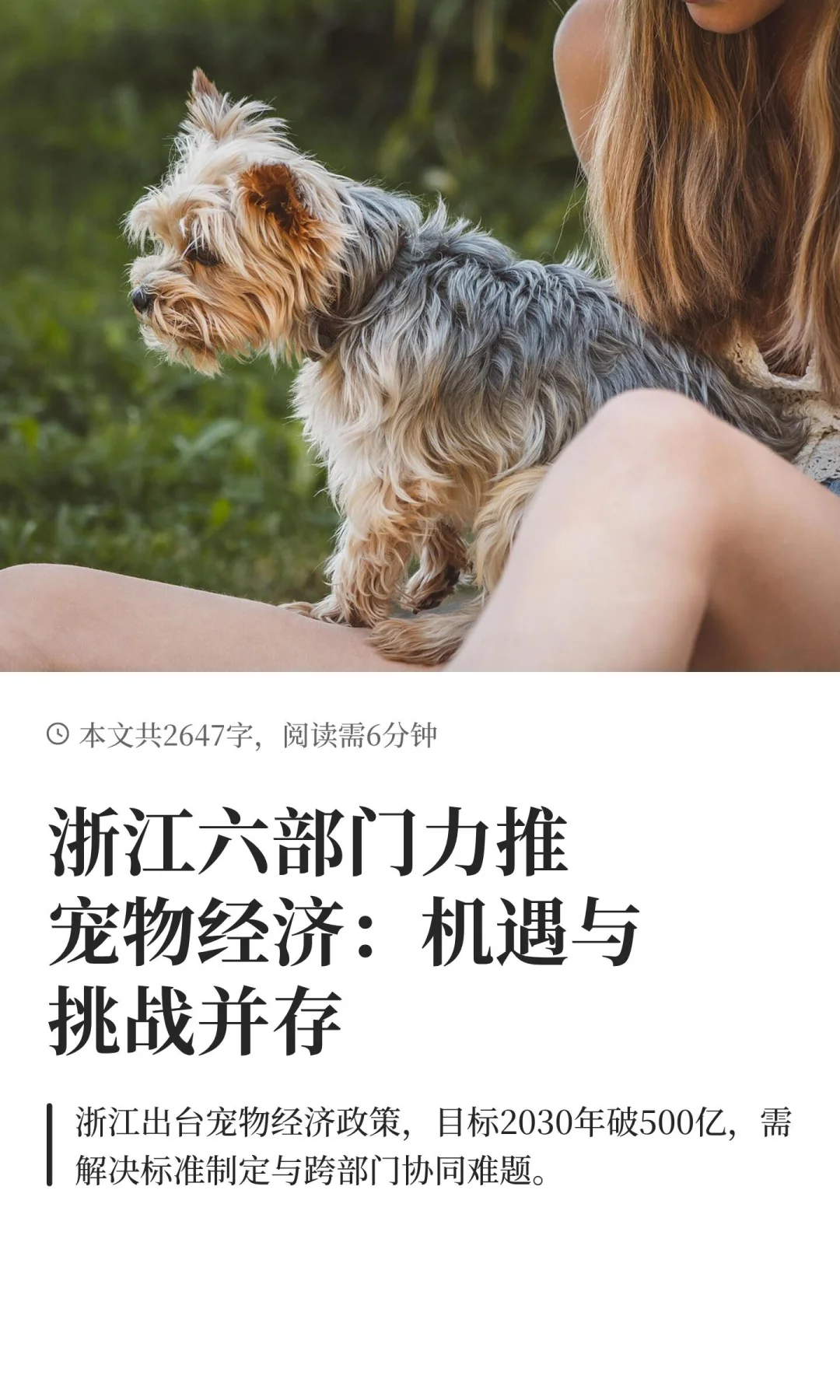浙江六部门力推宠物经济：机遇与挑战并存