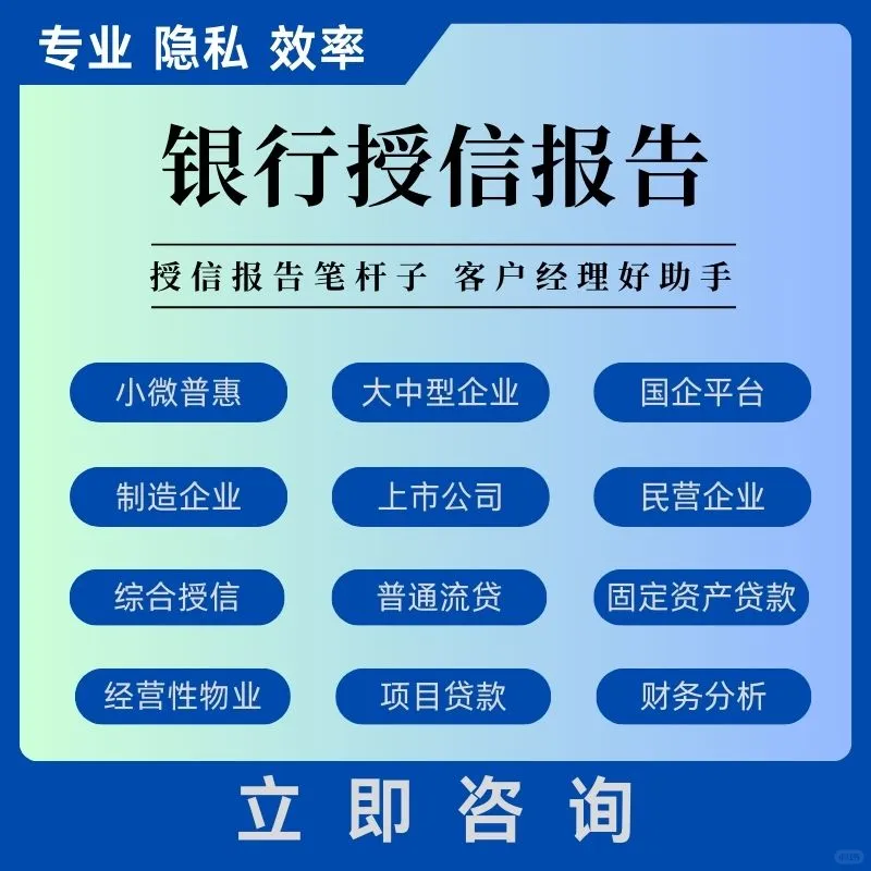 电器公司流贷报告案例
