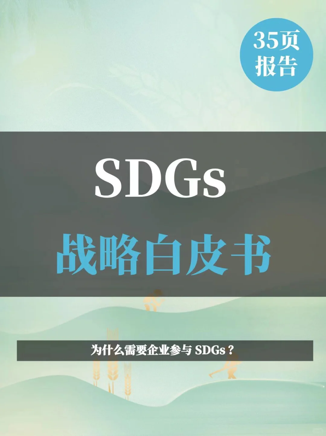 (SDGs)战略白皮书