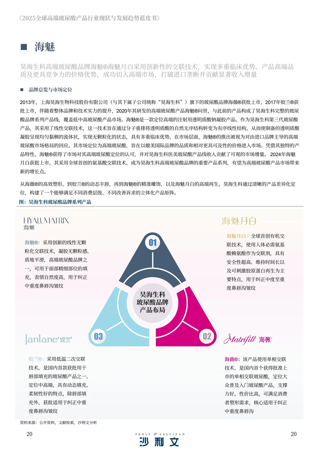 2025年全球高端玻尿酸产品报告