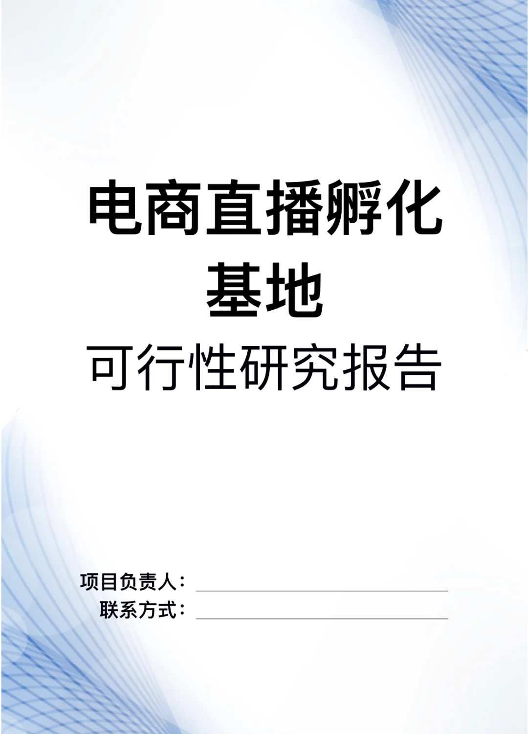 A419-电商直播孵化基地可行性研究报告word