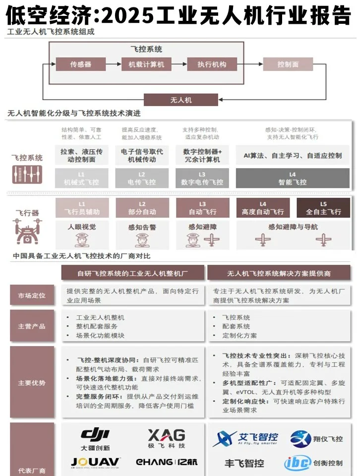 低空经济:2025年工业无人机行业报告