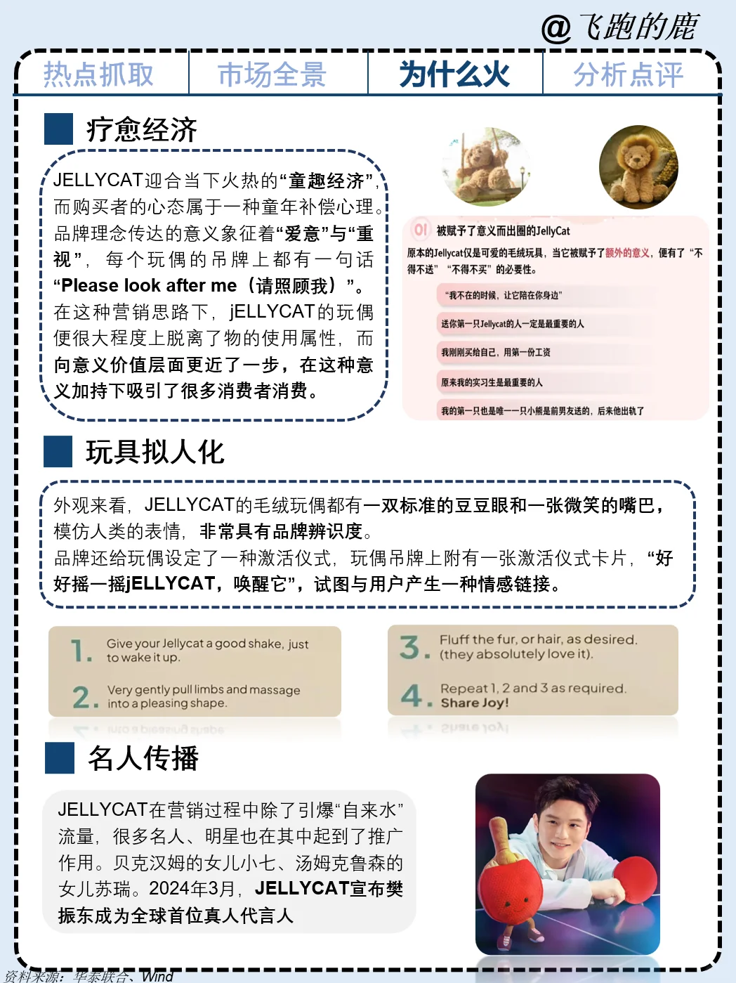 一天吃透一个商业案例：NO.1 Jelly cat