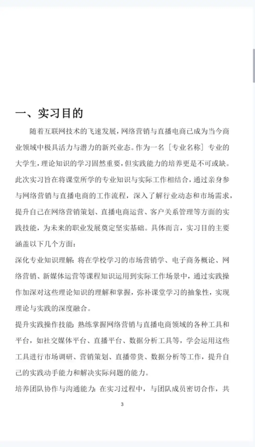 网络营销与直播电商实习报告