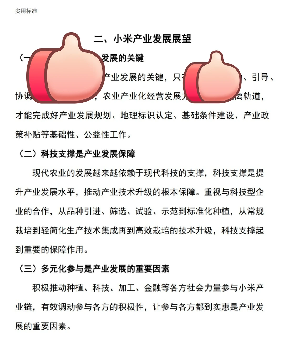 ?小米行业调研报告附详细的图表分析