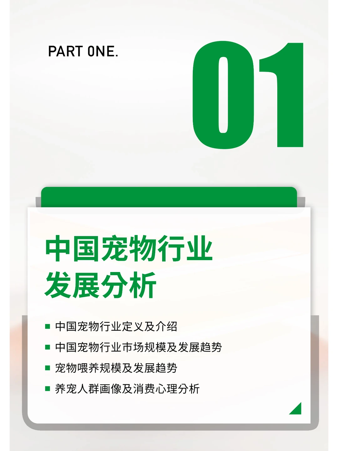 2024中国宠物行业报告研究