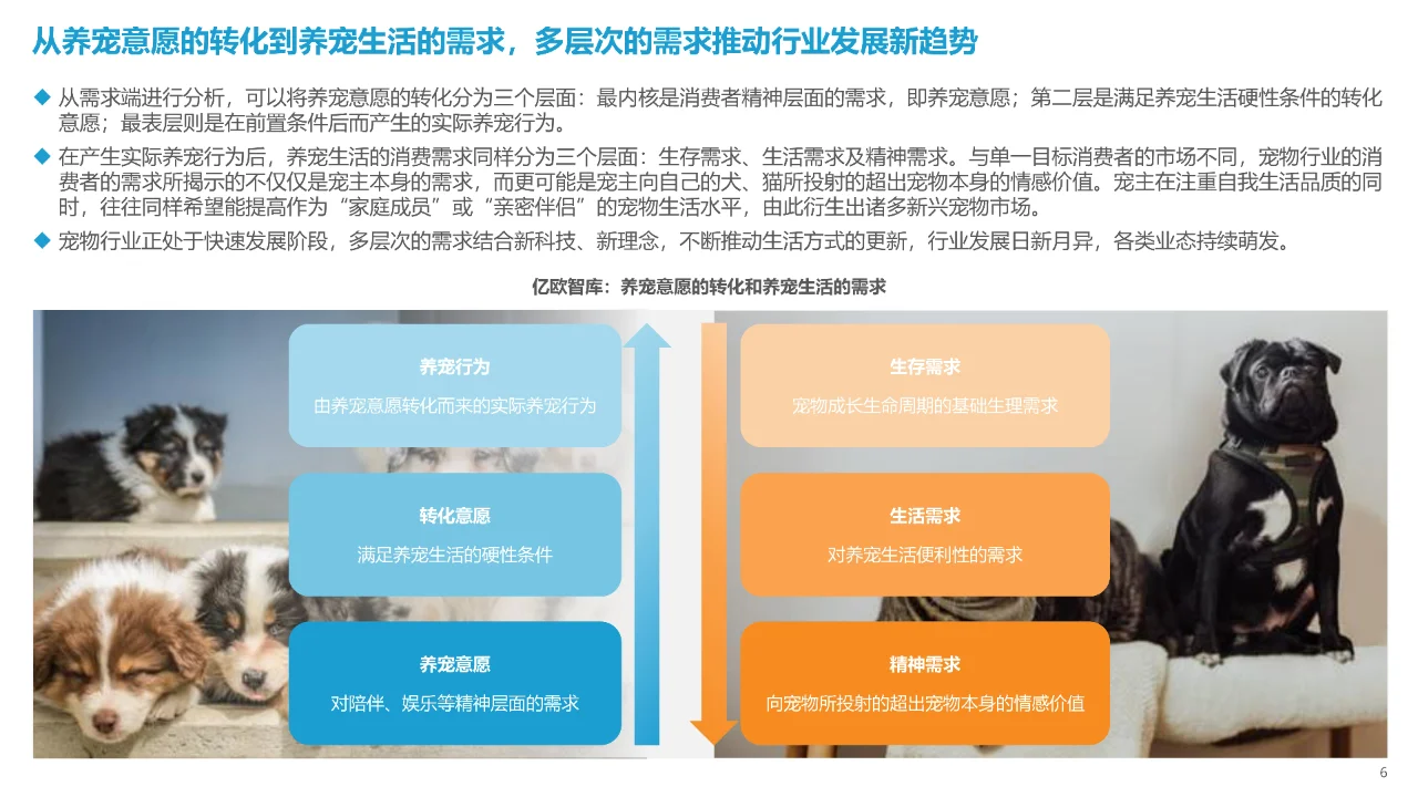 2023中国宠物行业新趋势洞察报告?