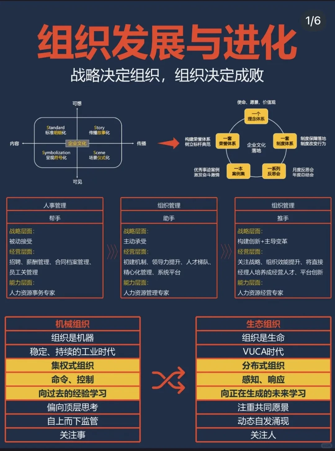 组织开展与进化模型，如何发挥组织张力