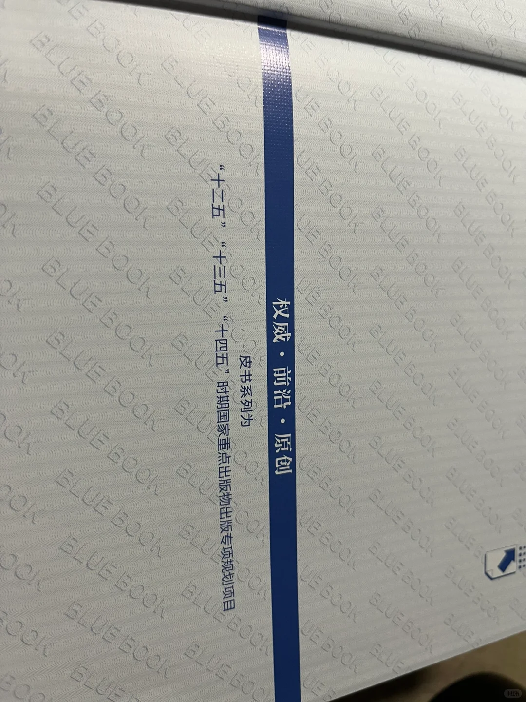 蓝皮书