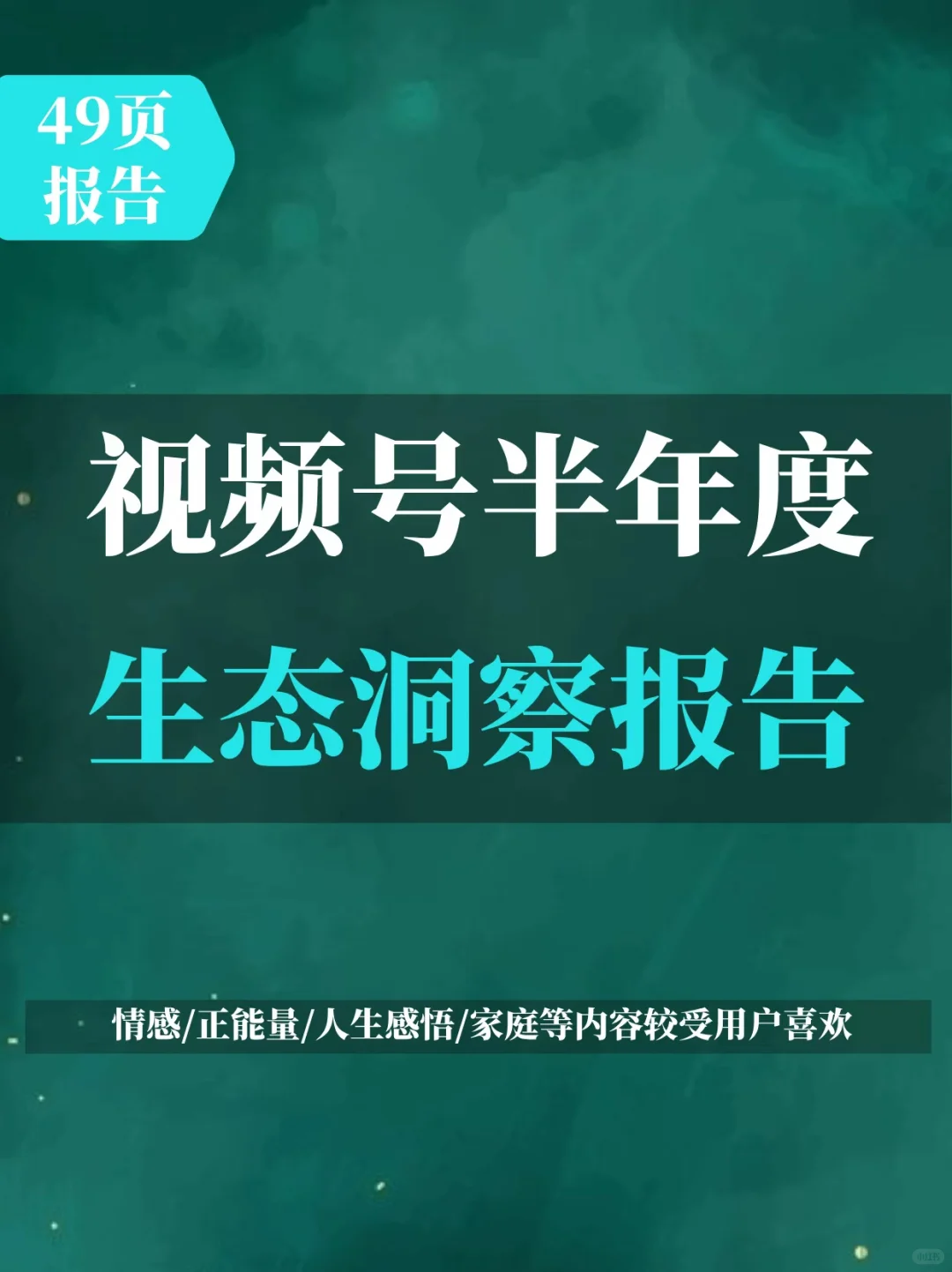 2025年视频号半年度生态洞察报告