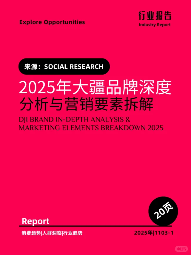 2025年大疆品牌深度分析与营销要素拆解