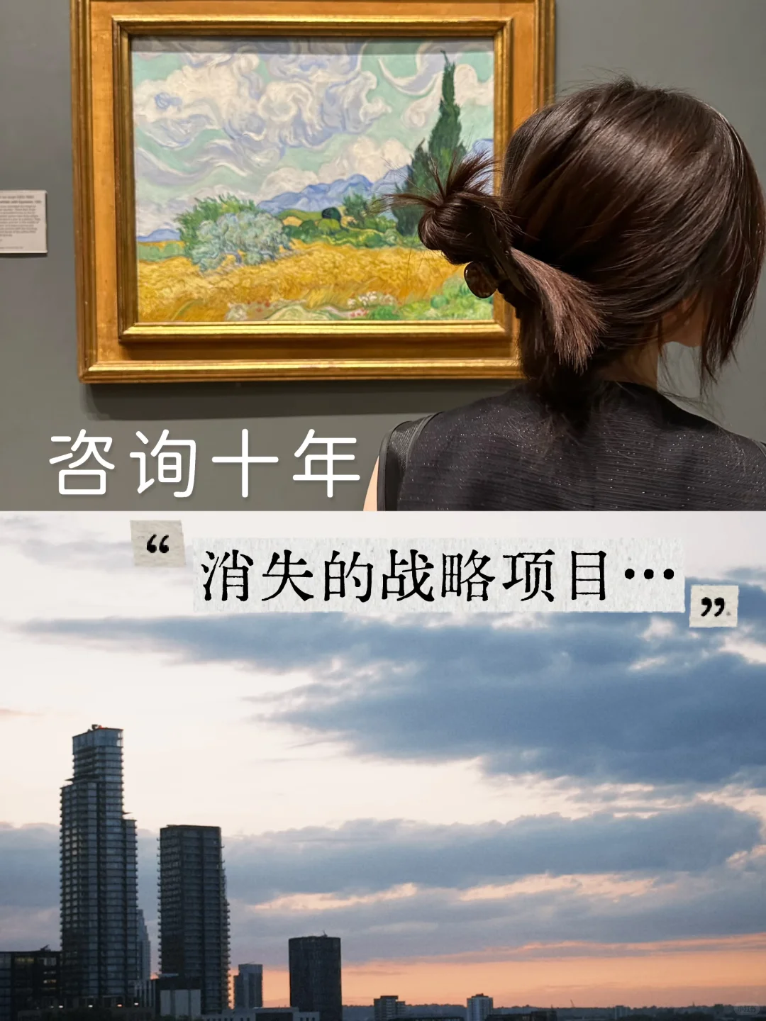咨询plog. 我发现战略项目在咨询快要消失了