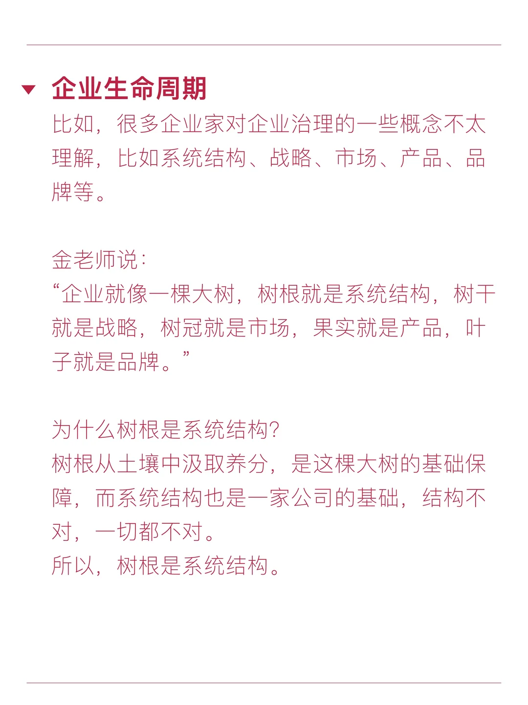 所谓洞察本质，就是会打比方