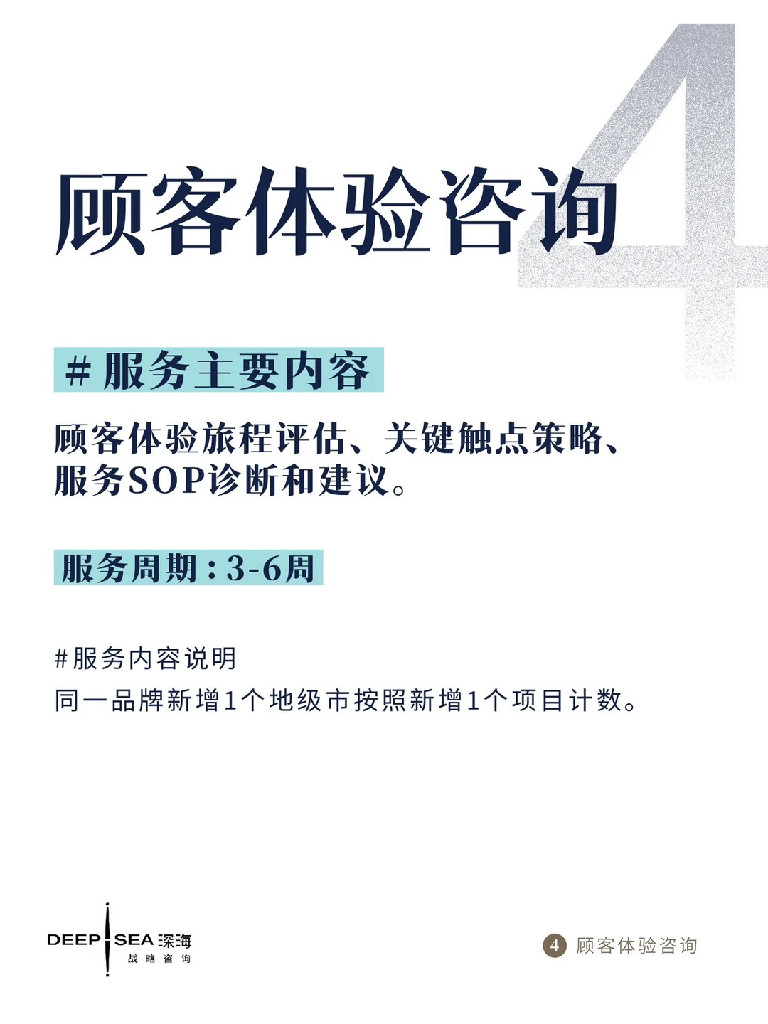 2025深海战略定位咨询服务项目内容一览