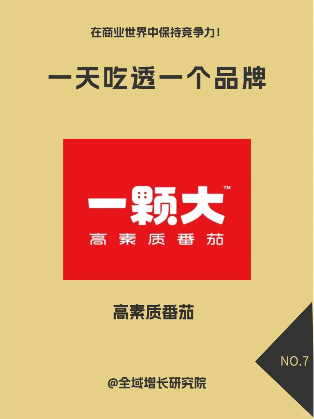 品牌案例 | 一颗大™的全域增长模式分析