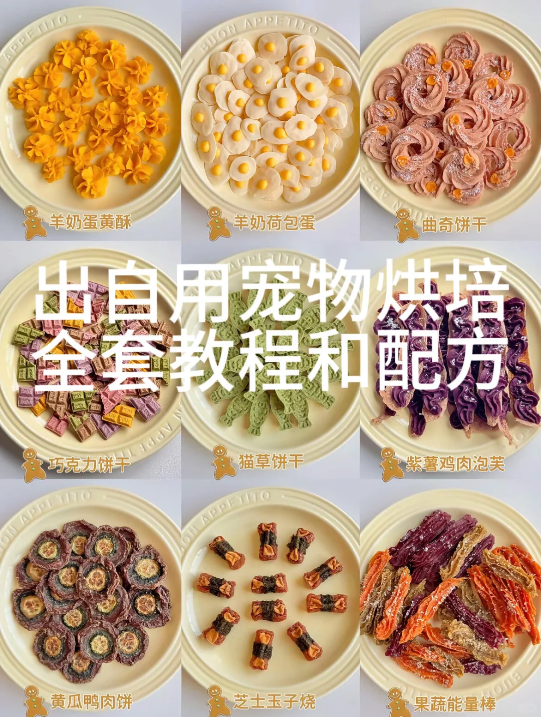 因一个人兼顾不了多职,宠物烘焙退坑了