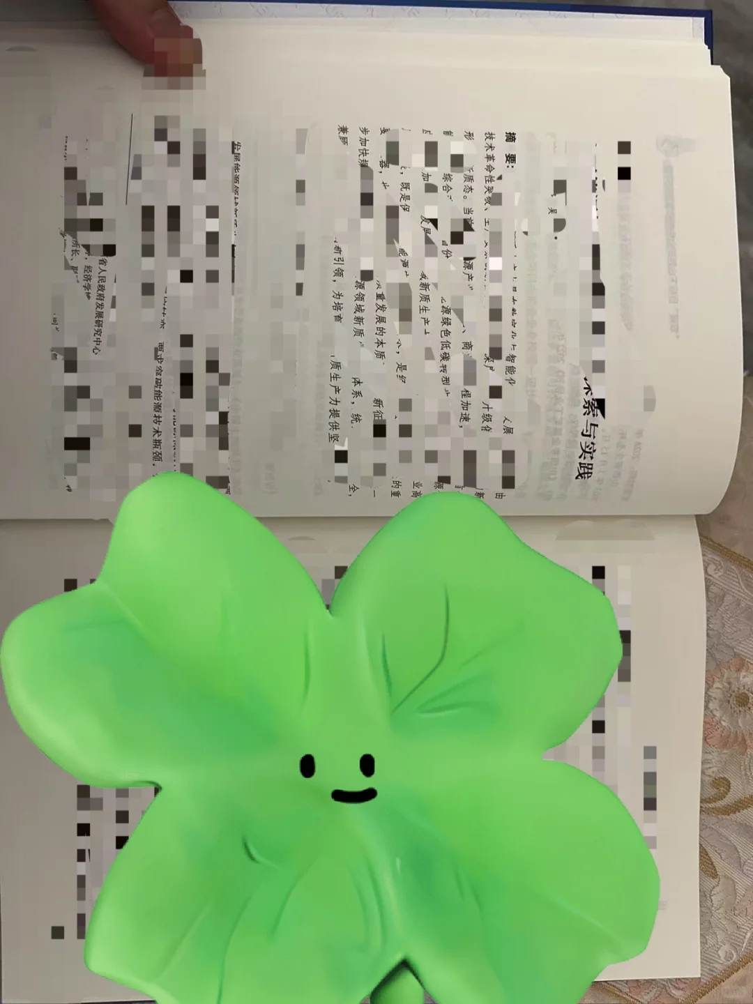 蓝皮书