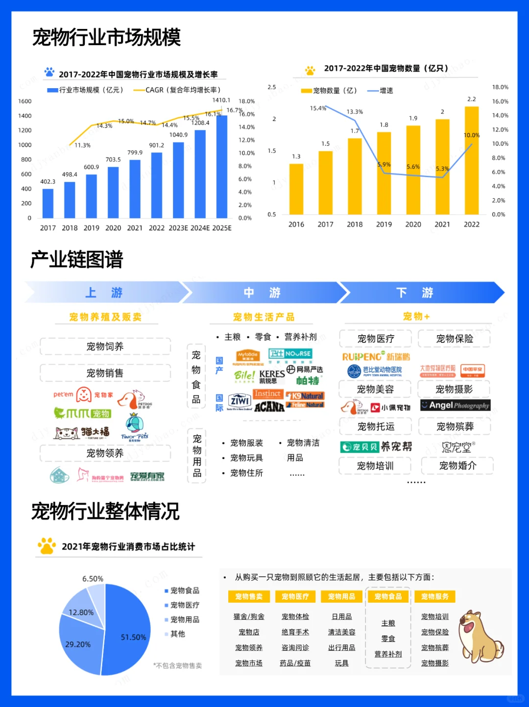 宠物行业研究报告 - 萌宠经济盛行