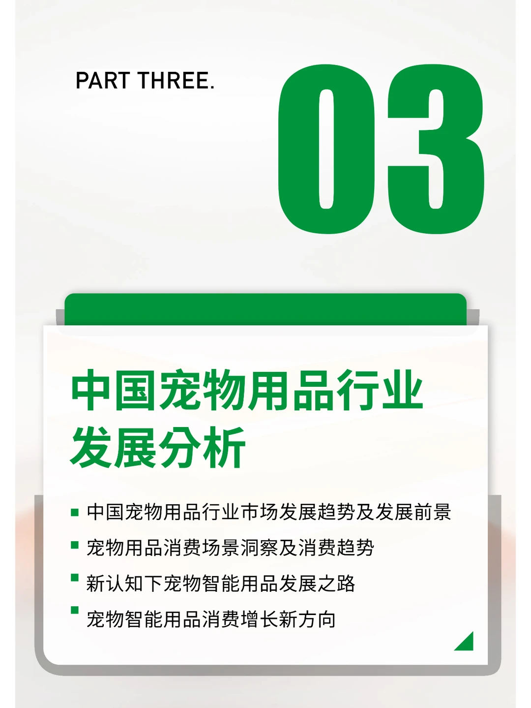 2024中国宠物行业报告研究