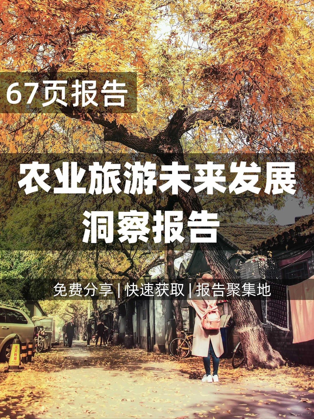 78页 | 了解农业旅游市场机遇未来展望洞察