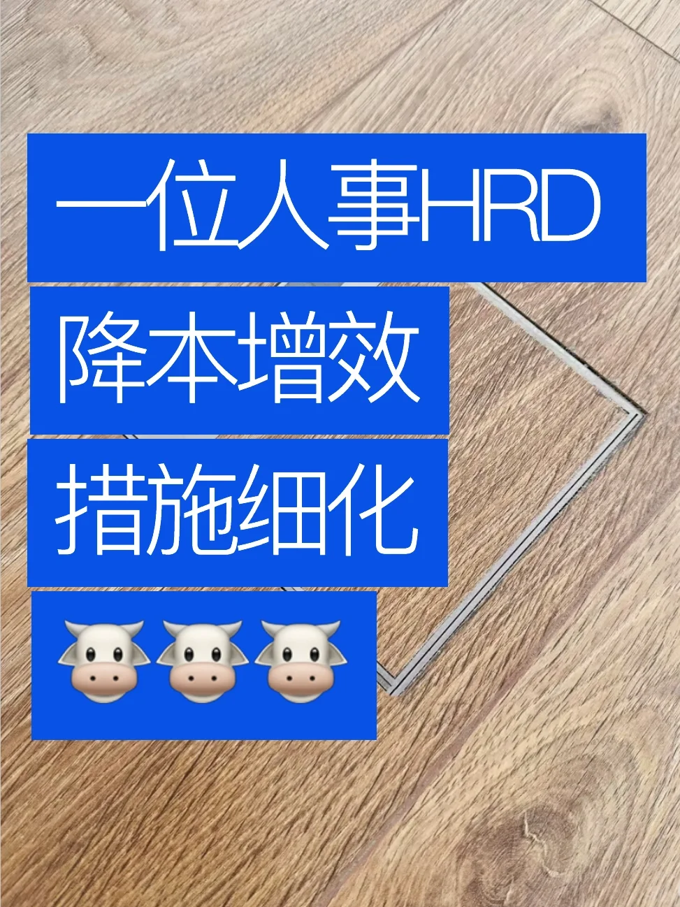 一位人事HRD降本增效措施细化