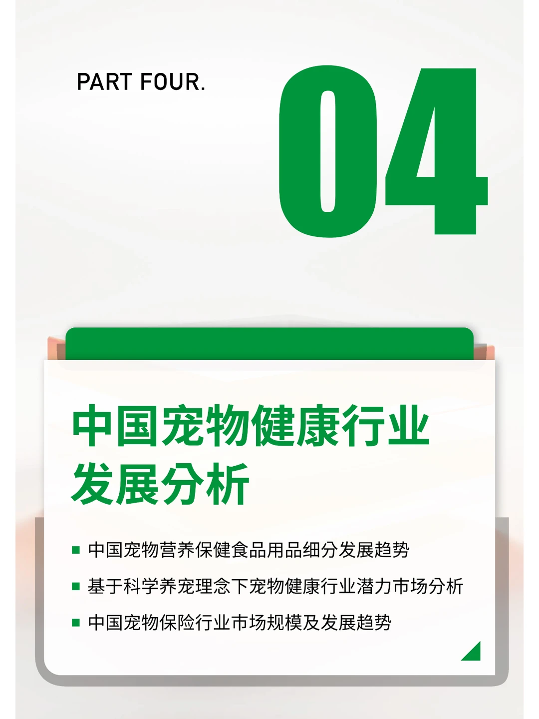 2024中国宠物行业报告研究