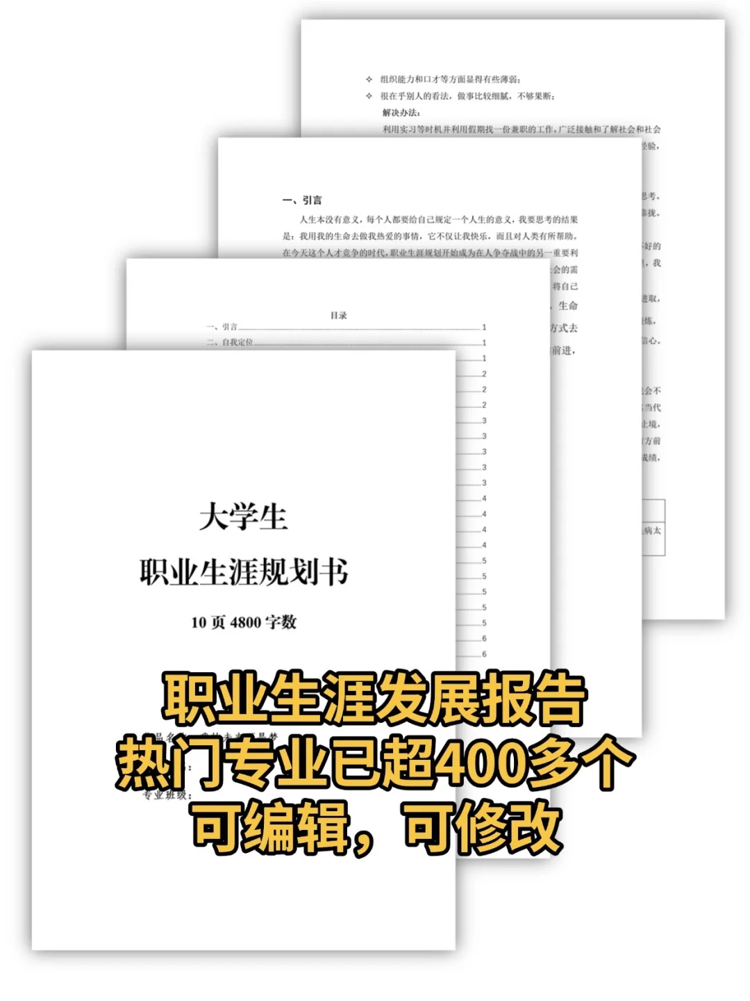 大学生职业生涯发展报告成长赛道ppt+word