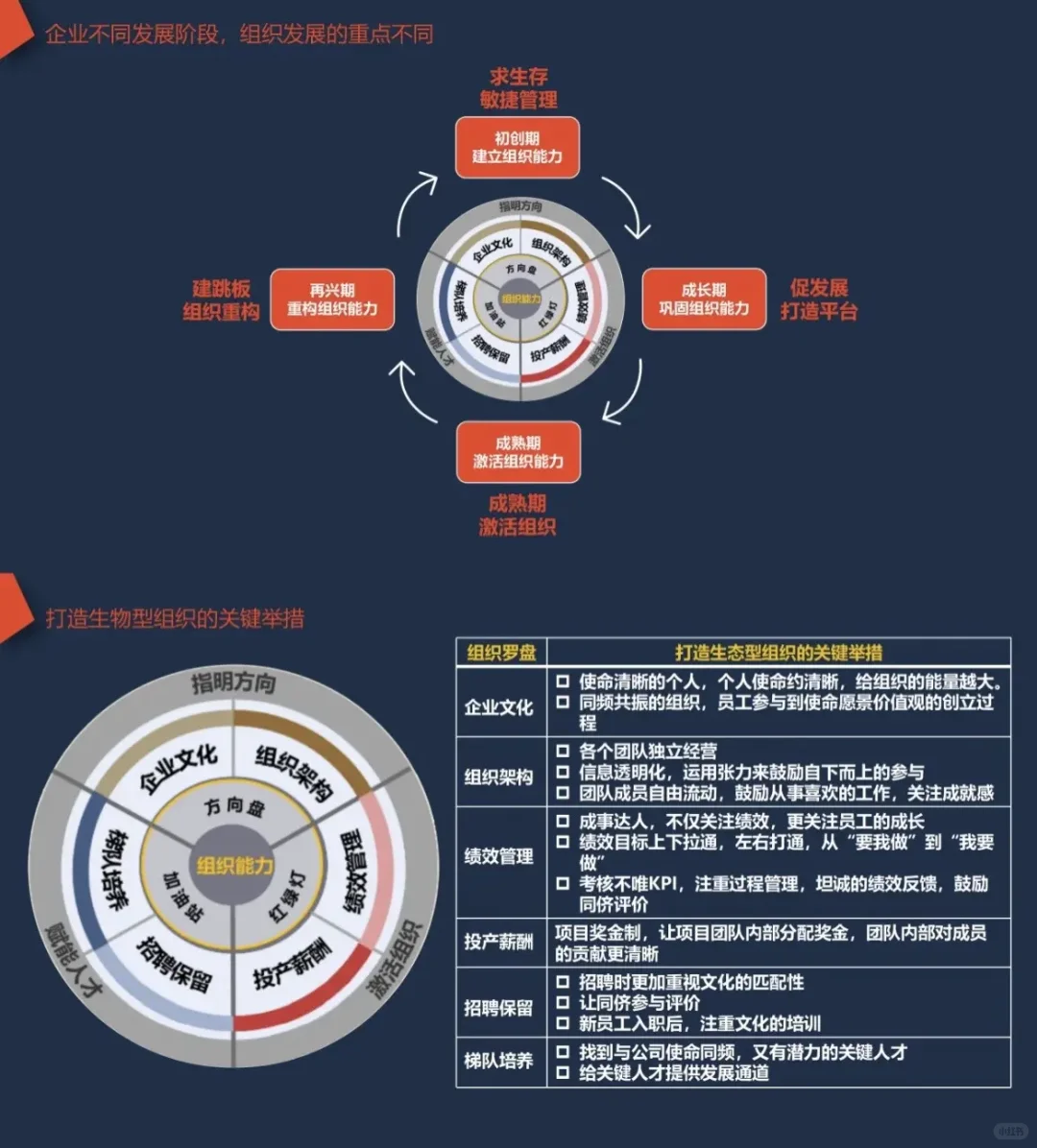 组织开展与进化模型，如何发挥组织张力