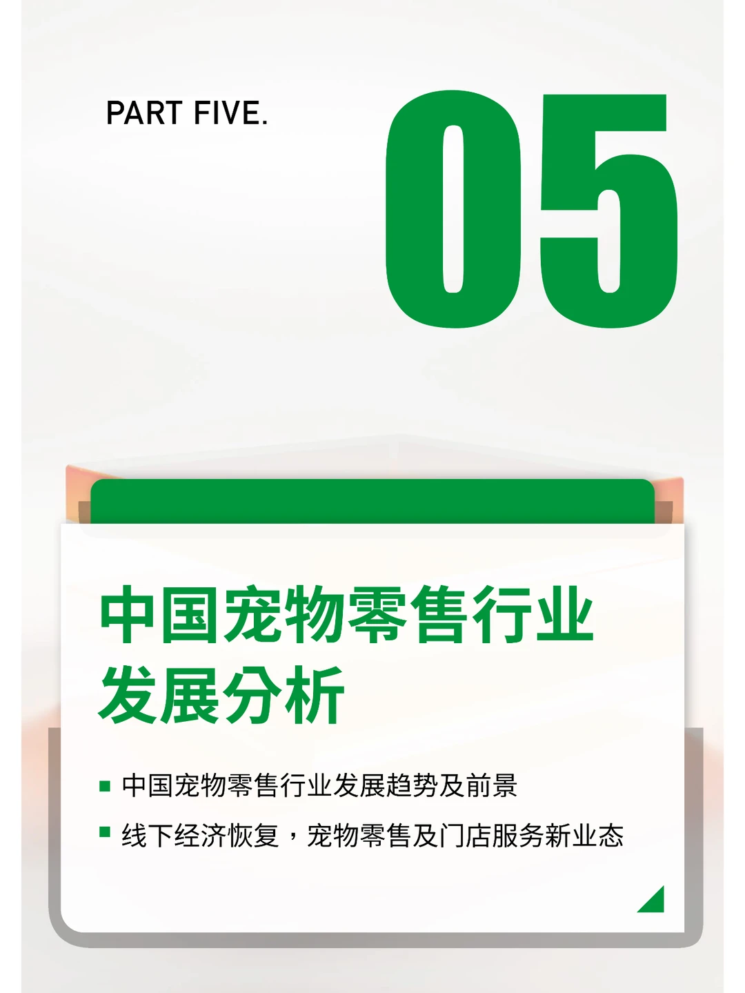 2024中国宠物行业报告研究