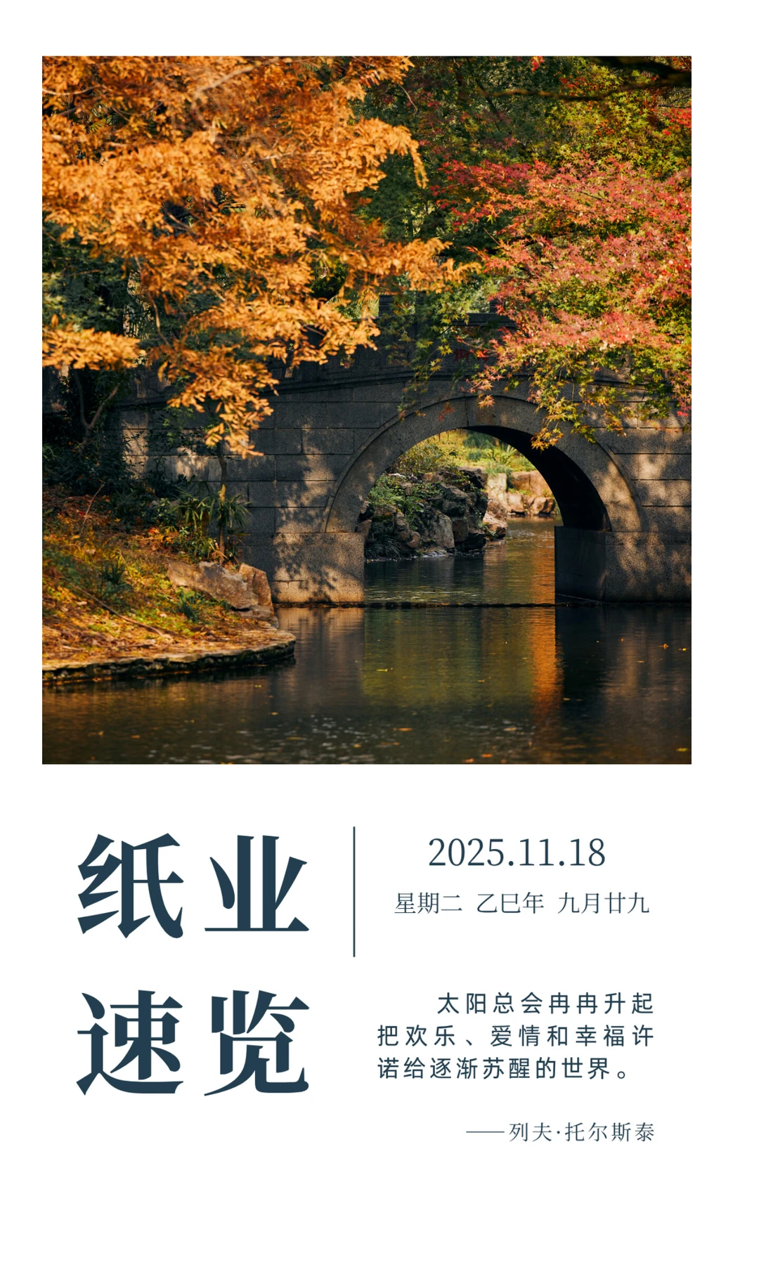 【周讯】纸业速览（2025年11月11—18日）