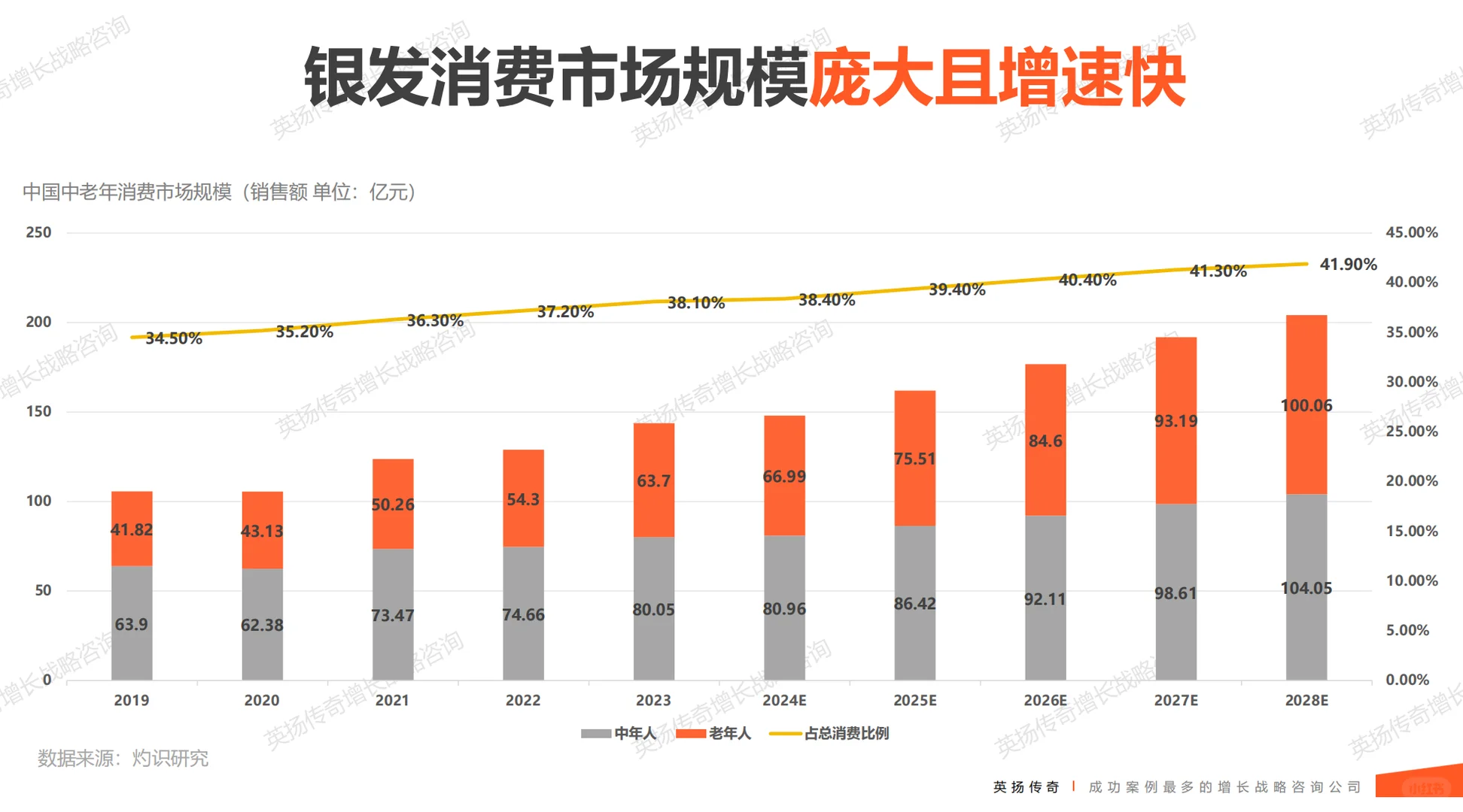 2025年银发族市场洞察报告 银发经济