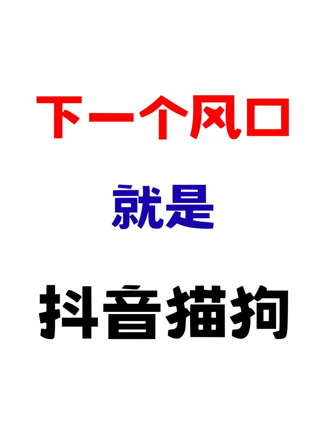 宠物行业必看❗下一个风口?就是抖音猫狗