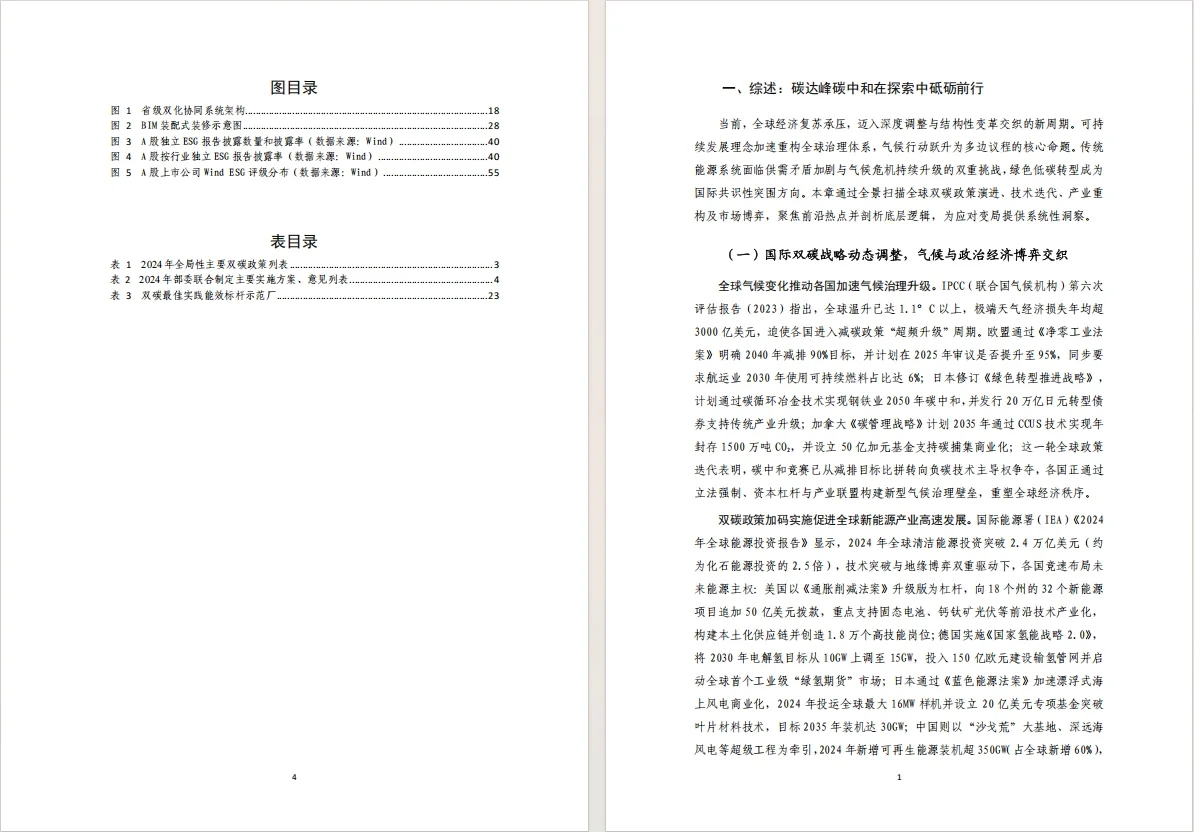双碳行动指南!2025蓝皮书权威解读??