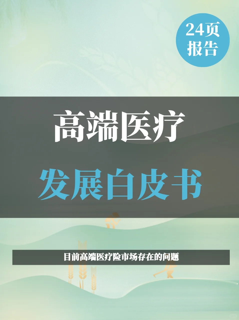 2025年高端医疗发展白皮书