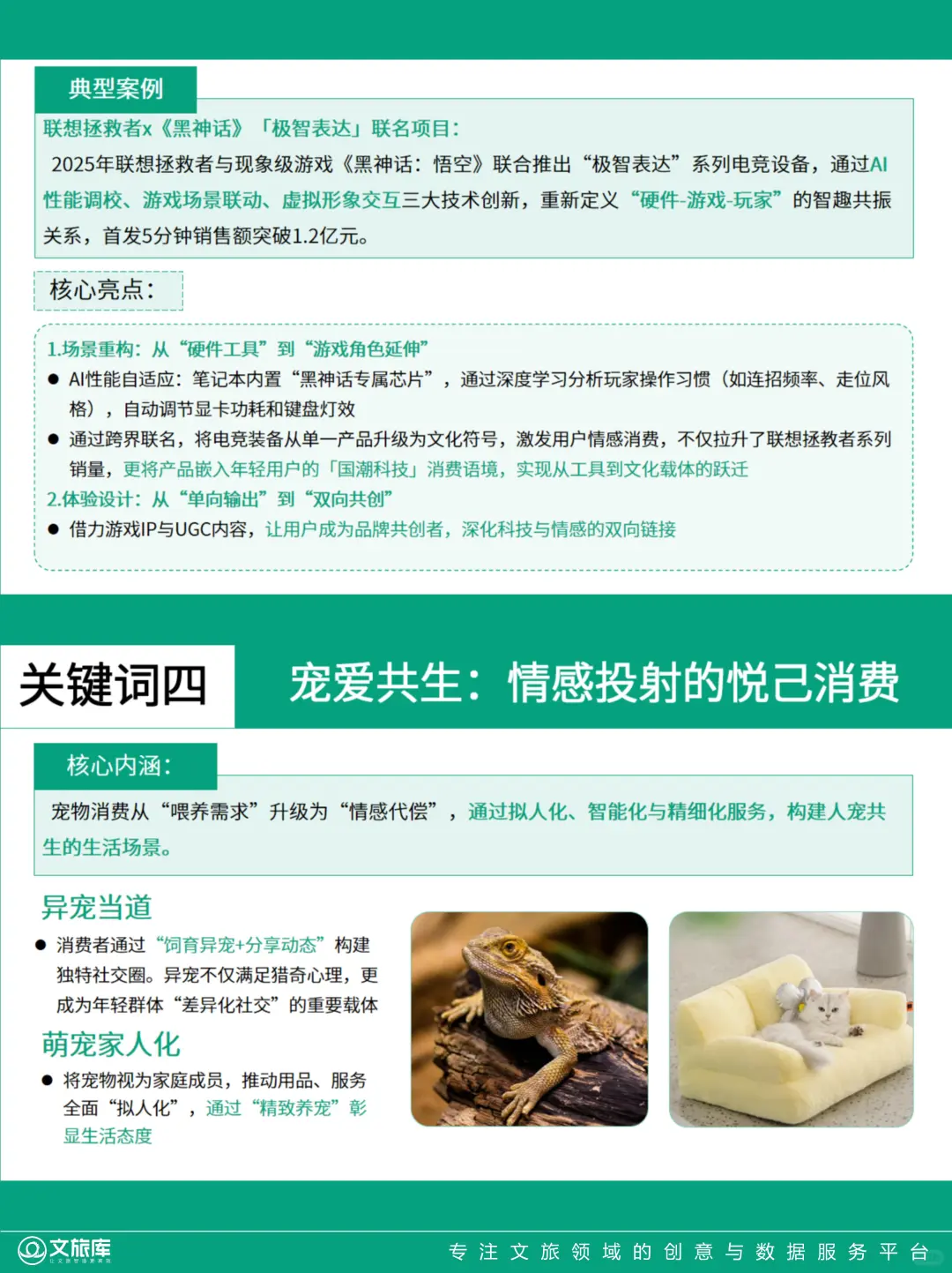2025年兴趣消费发展态势分析