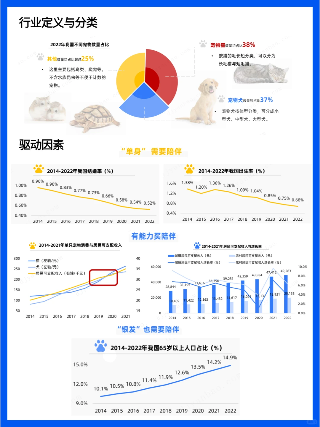宠物行业研究报告 - 萌宠经济盛行