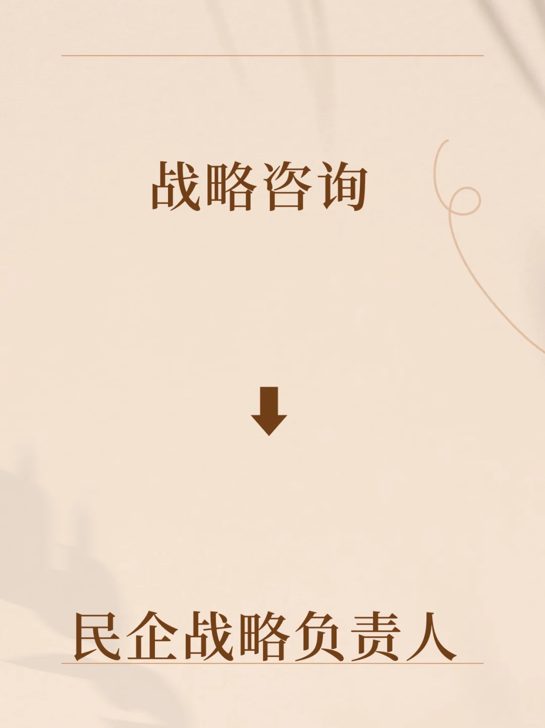战略咨询上岸民企战略负责人(1)
