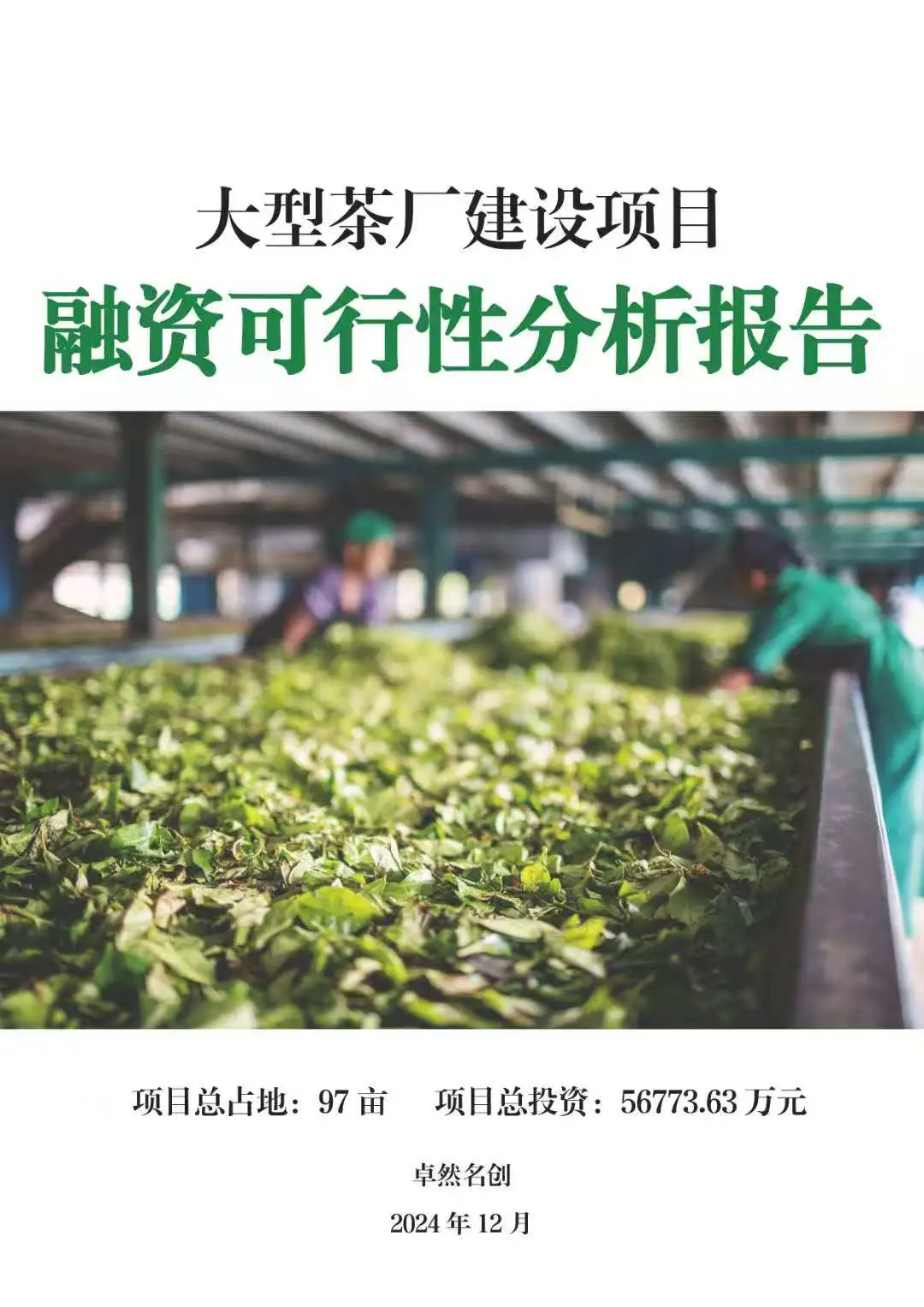 项目融资可行性分析报告,顺利容易全靠它