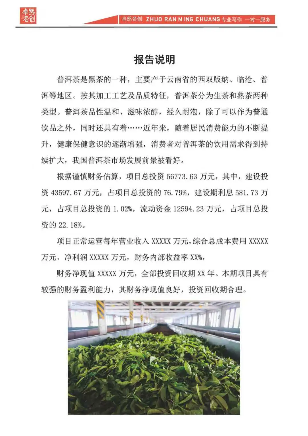 项目融资可行性分析报告,顺利容易全靠它