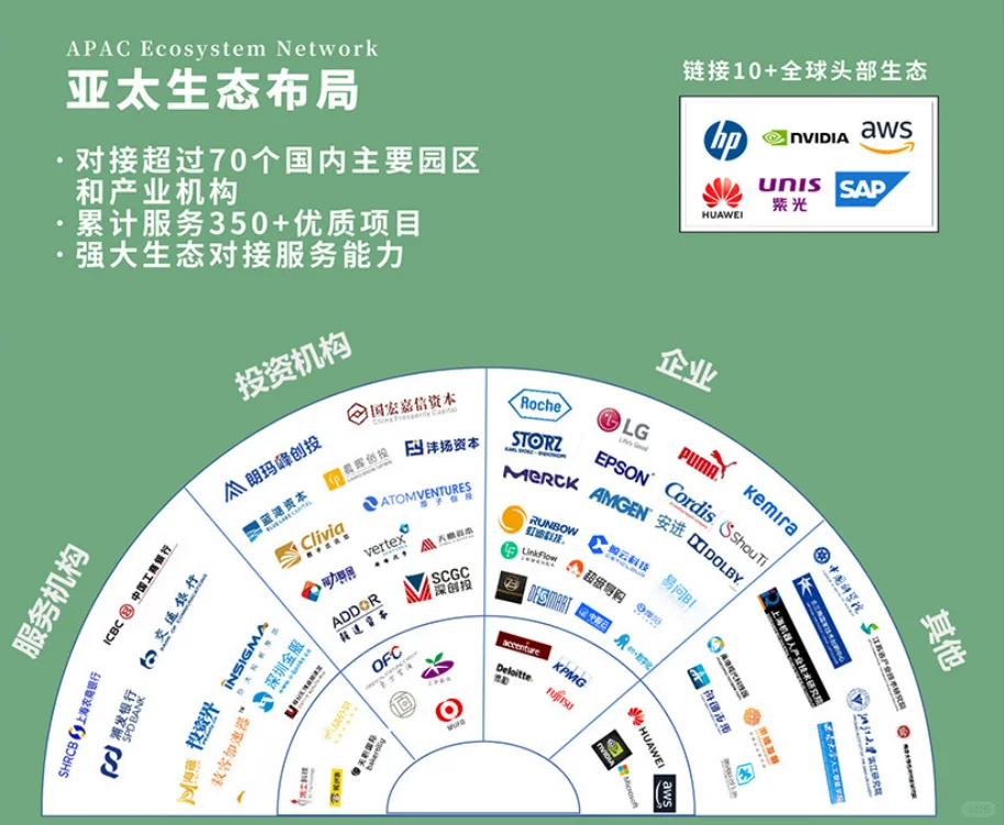 线上投融资评审，10➕头部资方。