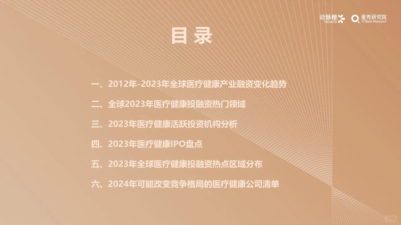 2023年全球医疗健康投融资分析报告