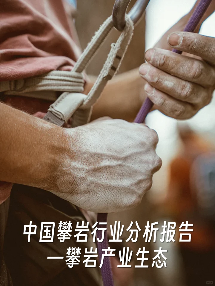 2023攀岩行业分析报告